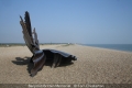 Tom Chesterton_Benjimin Britten Memorial