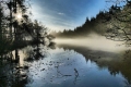 01 Morning Mist Forest of Dean_Vanessa Lacey