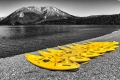 01 Yellow Canoes_David Eckland