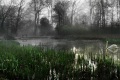 03 Another Misty River Morning_Mike Brankin