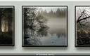 Vanessa Lacey_Misty morning in the Forest of Dean